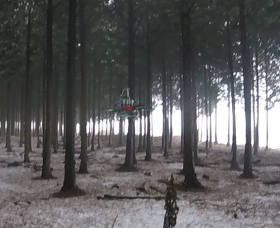 fieldexperiment01