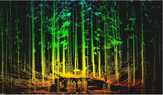 fieldexperiment01
