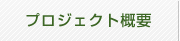 プロジェクト概要