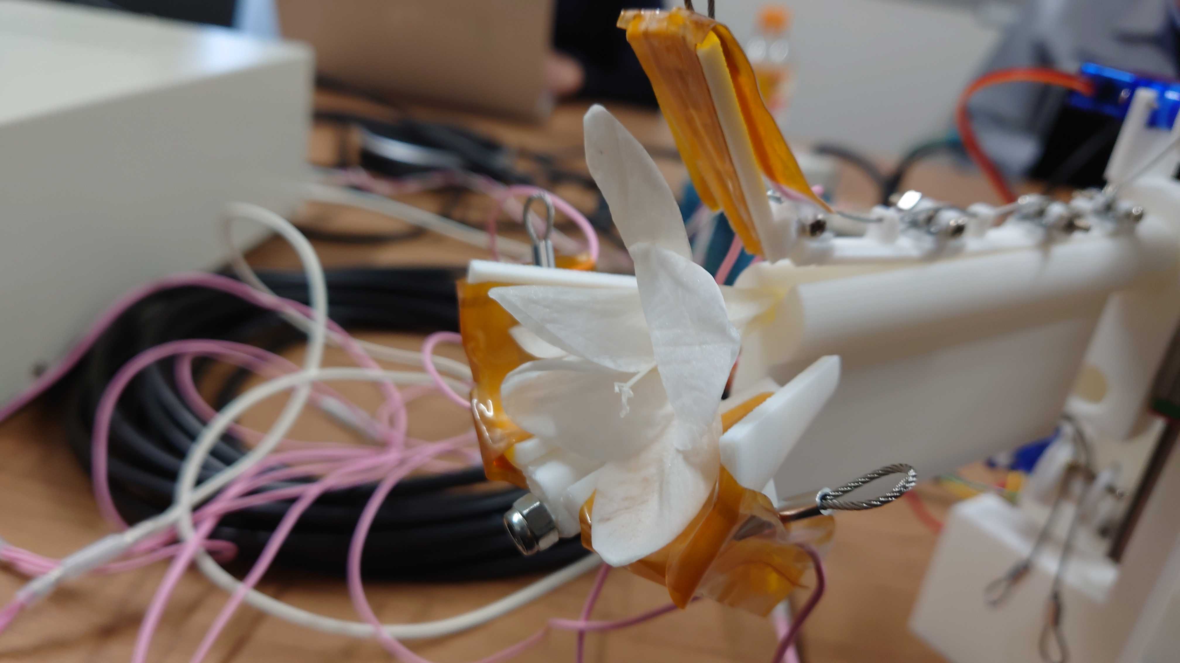 サフラン収穫ロボット